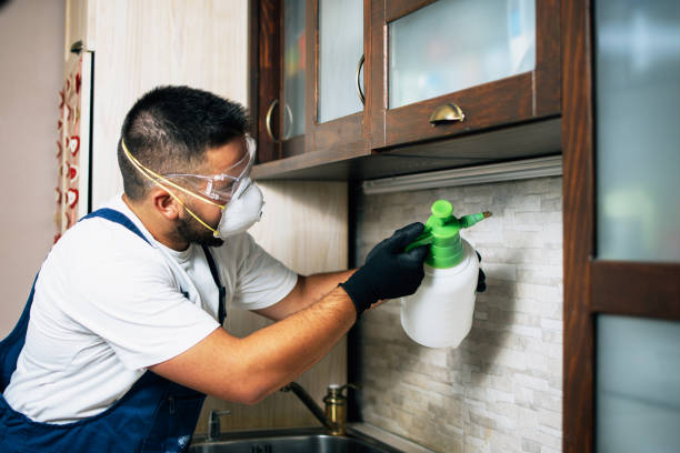 Best Best Pest Control Companies  in Glasgow, MO