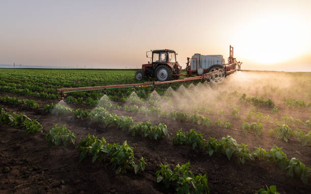 Pest Control Cost in Glasgow, MO