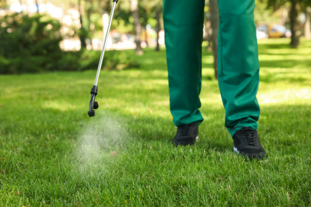 Best Termite Control Services  in Glasgow, MO