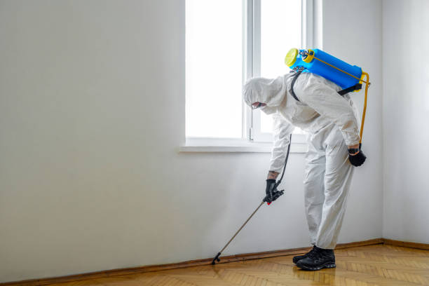 Best Mosquito Control Services  in Glasgow, MO