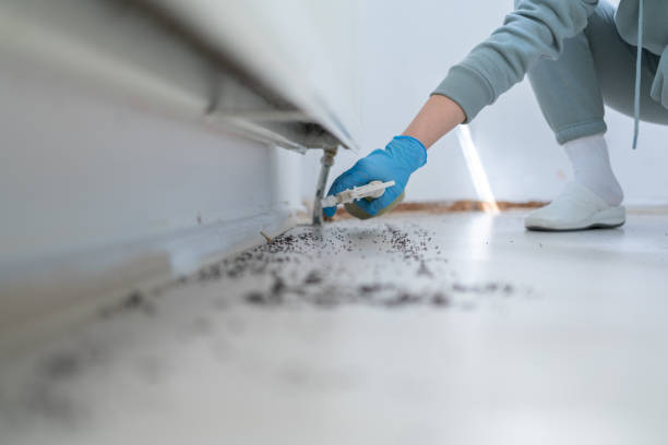Best Best Pest Control Companies  in Glasgow, MO